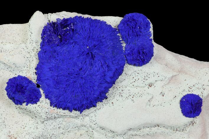 Blue Azurite Sun Cluster on Siltstone - Australia #142789